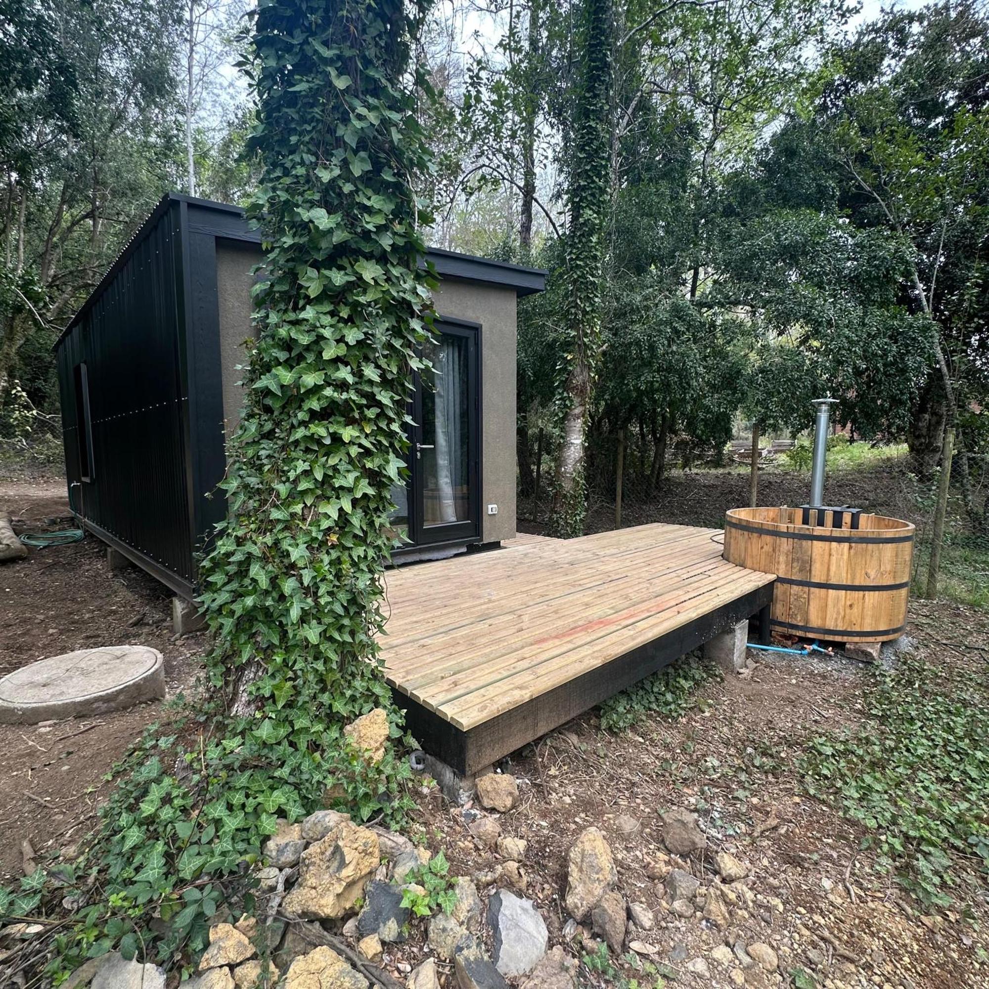 Ketrawe Lodge Pucón Kültér fotó